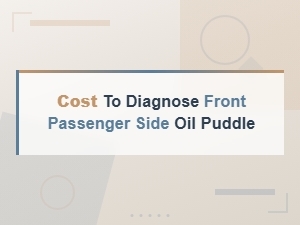 Cost to Diagnose Front Passenger Side Oil Puddle Leak